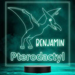 Kids Cute Dinosaur Fan Pterodactyl Led Personalised Gift Night Light - thumbnail 1