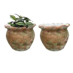 Large Terracotta Plant Pot - Rustic Weathered Pie Crust Succulent Planter Frill Rim Flower Vintage Style - thumbnail 2