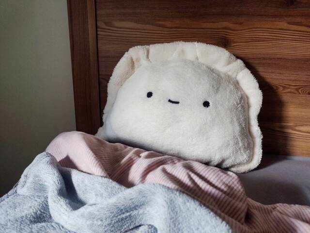 Large Dumpling Squishy Cushion, Hug Me Plush Dim Sum Soft Toy, Whimsical Bedroom Decorative Pillow, Polish Ravioli Souvenir Gift For A Cook - image 1
