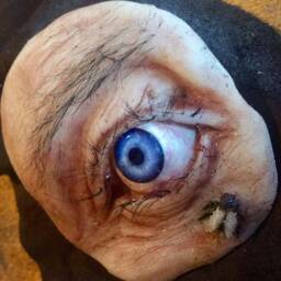 Eye & Fly - thumbnail 4