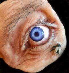Eye & Fly - thumbnail 1