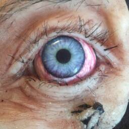 Eye & Fly - thumbnail 3