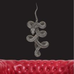 Sacred Serpent Wall Art Stencil - Better Than Decals Easy Decor
