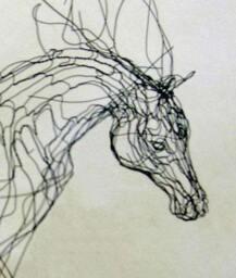 Horse Head 30 - thumbnail 3