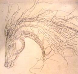Horse Head 30 - thumbnail 2