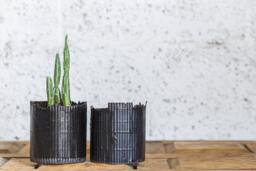 Modern Bamboo Design, Black & White