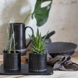 Modern Bamboo Design, Black & White - thumbnail 2