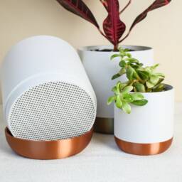 White Modern Plant Pot With Drainage Dish, Eco-Friendly Pla - thumbnail 2