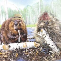 Beaver & Porcupine Art Print Rustic Animal Friends On Birch Log - thumbnail 2