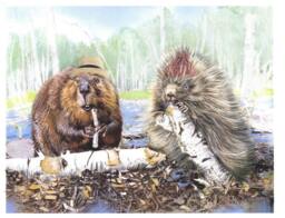 Beaver & Porcupine Art Print Rustic Animal Friends On Birch Log - thumbnail 1