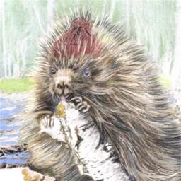 Beaver & Porcupine Art Print Rustic Animal Friends On Birch Log - thumbnail 3