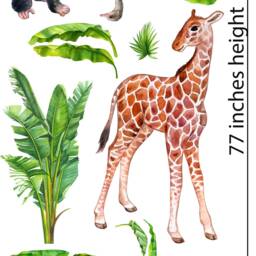 Safari Animal Wall Stickers Hand-Painted Watercolor - Kids Nursery Decor - thumbnail 2