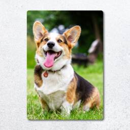 Personalised Custom Floating Aluminium Metal Photo Print. Home Decor. Wall Hanging Plaque. Frame Picture Canvas Waterproof Vibrant Glossy - thumbnail 3