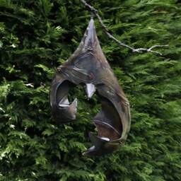 Metal Hanging Bat Candleholder. Handcrafted T Light Holder. Bats. Halloween - thumbnail 2