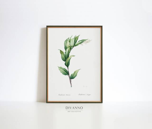Treacleberry Botanical Print, Antique Farmhouse Wall Art - image 1