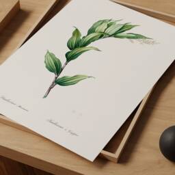 Treacleberry Botanical Print, Antique Farmhouse Wall Art - thumbnail 2