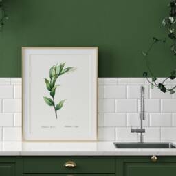 Treacleberry Botanical Print, Antique Farmhouse Wall Art - thumbnail 3