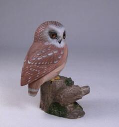 Saw-Whet Owl Wood Carving - thumbnail 2