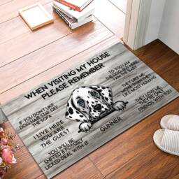 Dalmatian Doormat, Mat, Rug, Visiting My House Perfect Gift For Dog Lover, Home Decor, Funny Doormat - thumbnail 3