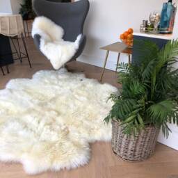 xxl Genuine Sheepskin Rug, Ivory Latge Fluffy Sheepskin, Large White - thumbnail 2