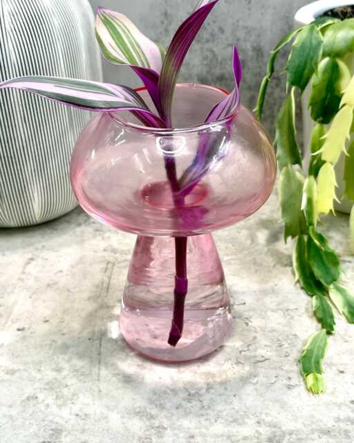 Pink Mushroom Propagation Vase - Houseplant Cuttings Gift - image 1