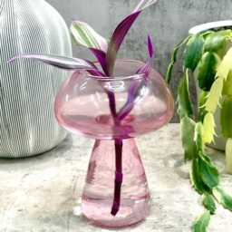 Pink Mushroom Propagation Vase - Houseplant Cuttings Gift - thumbnail 4