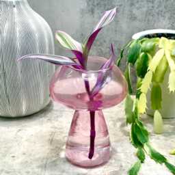 Pink Mushroom Propagation Vase - Houseplant Cuttings Gift - thumbnail 2