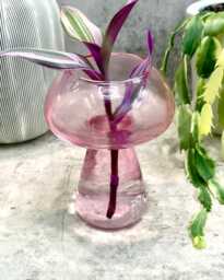 Pink Mushroom Propagation Vase - Houseplant Cuttings Gift