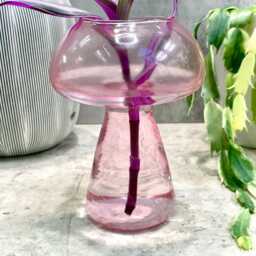 Pink Mushroom Propagation Vase - Houseplant Cuttings Gift - thumbnail 3