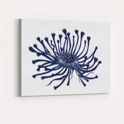 Navy Blue Abstract Coral Flower Botanical Illustration Canvas Wall Art Print Decor Picture Ready To Hang - thumbnail 4