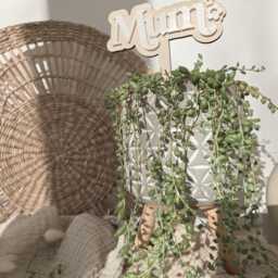 Personalised Wooden Plant Pick - Custom Name Flower Gift Tag - thumbnail 4