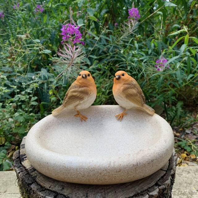 Robin Bird Bath Bowl - Garden Feeder & Insect Water Dish - image 1