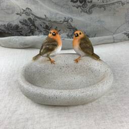 Robin Bird Bath Bowl - Garden Feeder & Insect Water Dish - thumbnail 3