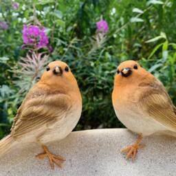 Robin Bird Bath Bowl - Garden Feeder & Insect Water Dish - thumbnail 2