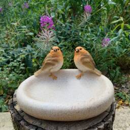 Robin Bird Bath Bowl - Garden Feeder & Insect Water Dish - thumbnail 1