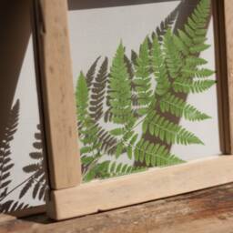 Magic Of Fern - Wall Decor 8x8 - thumbnail 3