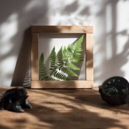 Magic Of Fern - Wall Decor 8x8 - thumbnail 2