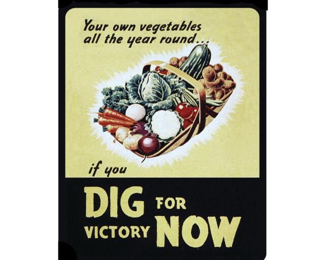 World War Propaganda Dig For Victory Now Your Own Vegetables All Year Round Vintage Advertising Enamel Metal Tin Sign Wall Plaque