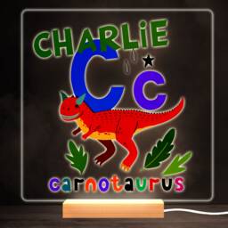 C Dinosaur Alphabet Colourful Square Personalised Gift Led Lamp Night Light - Bedroom