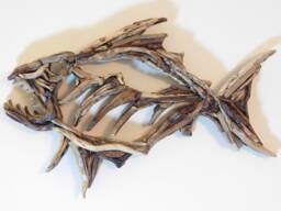 Handmade Driftwood Wall Art - Quirky Fish By Lyme Bay Art - thumbnail 1