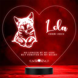 Cat Pet Loss Memorial Forever in My 10 Personalised Gift Colour Night Light