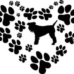 Schnauzer Inspired Dog With Paw Print Heart.... E00056 - thumbnail 2