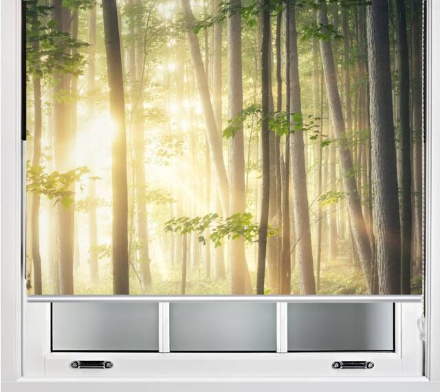 Sunbeams Hitting The Forest Natural Image Printed Custom Made Window - Nat16 Roller Blind, Regular Or Blackout Shade, Chain Cordless - image 1