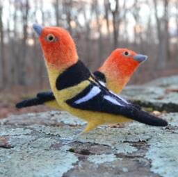 Mr. Western Tanager, Needle Felted Bird Sculpture