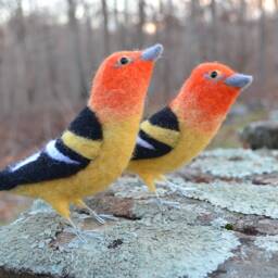 Mr. Western Tanager, Needle Felted Bird Sculpture - thumbnail 3