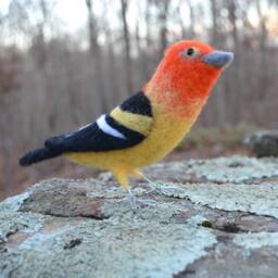 Mr. Western Tanager, Needle Felted Bird Sculpture - thumbnail 2