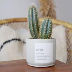 Mom Gift, Gift For Mom, Mother Definition, Concrete Planter, Customizable Personalized Gift Mom, Plant Pot, Mom Definition - thumbnail 2
