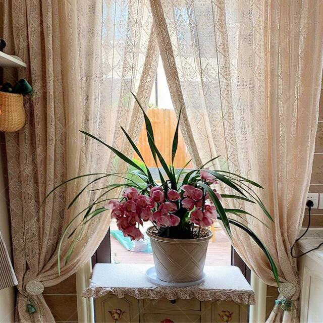 Beige Crochet Sheer Curtain, Country Style Hollow Knitted Window Treatment, Dreamy Countryside Home Accent - image 1