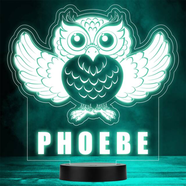 Cute Owl Spread Wings Bird Animal Led Personalised Gift Night Light - image 1