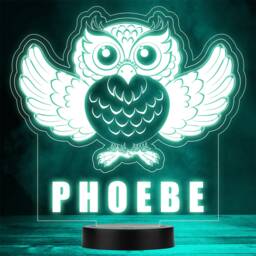 Cute Owl Spread Wings Bird Animal Led Personalised Gift Night Light - thumbnail 1